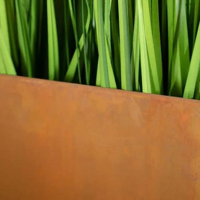 Funcția gardurilor exterioare.